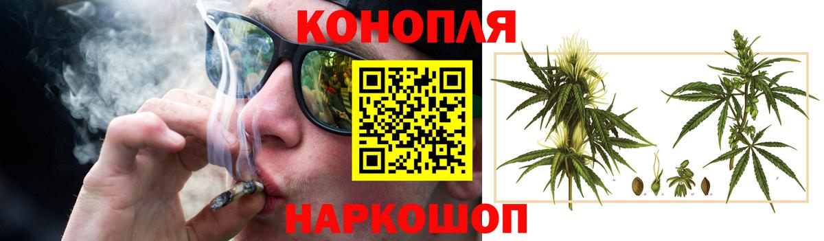 Бошки Шишки семена Верхняя Пышма